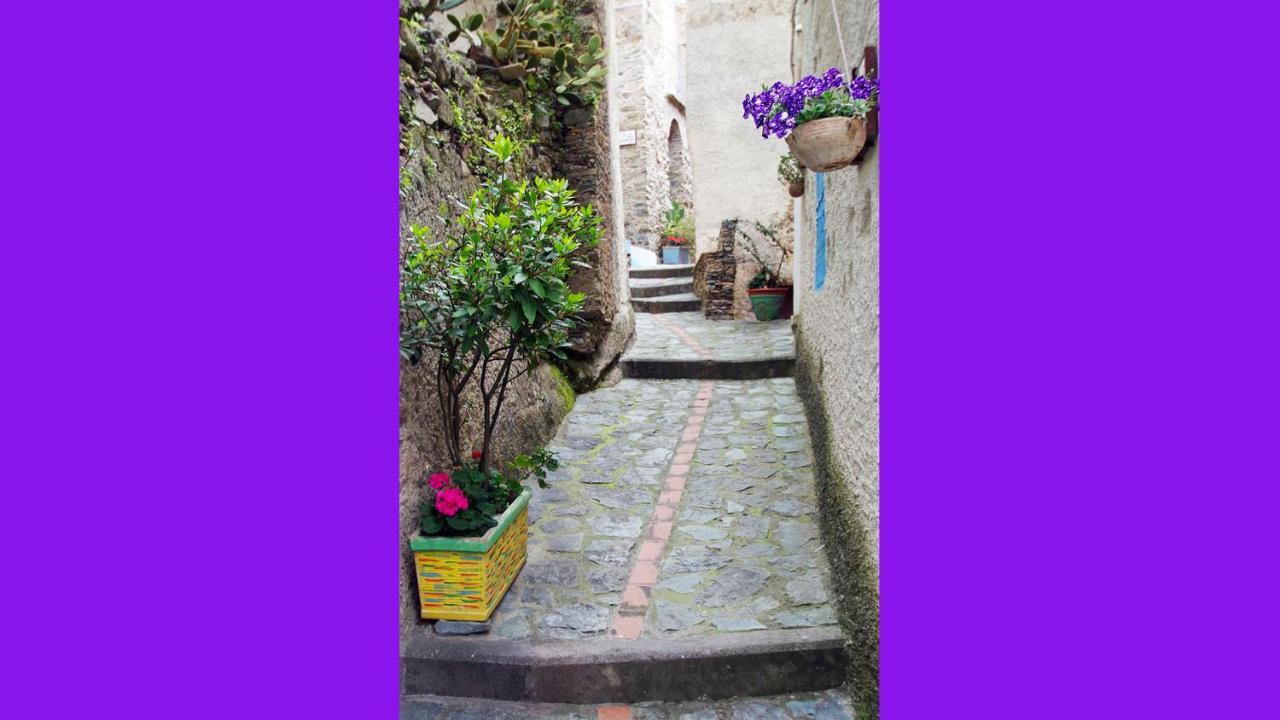 Albergo Diffuso Ecobelmonte Belmonte Calabro Eksteriør billede